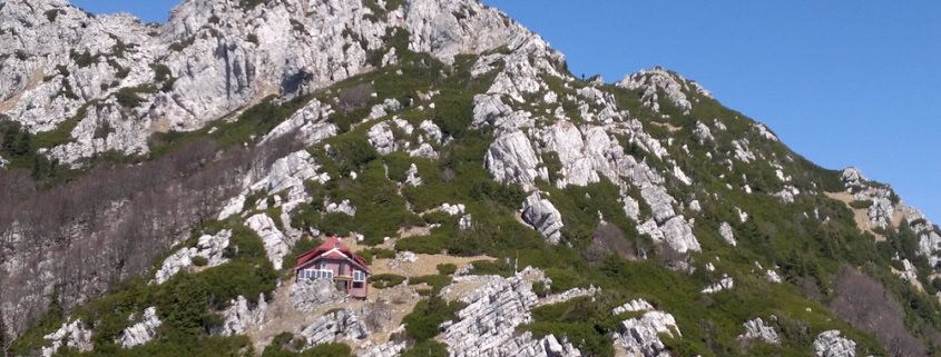 Visit__Croatia's tweet photo. There is amazing hiking around Rijeka, even without a car! https://t.co/cTLeok6t3m | Regular contributor John highlights some fantastic hiking trails in the Kvarner region, including on the islands of Cres, Lošinj and Krk! https://t.co/ejH9zX132q