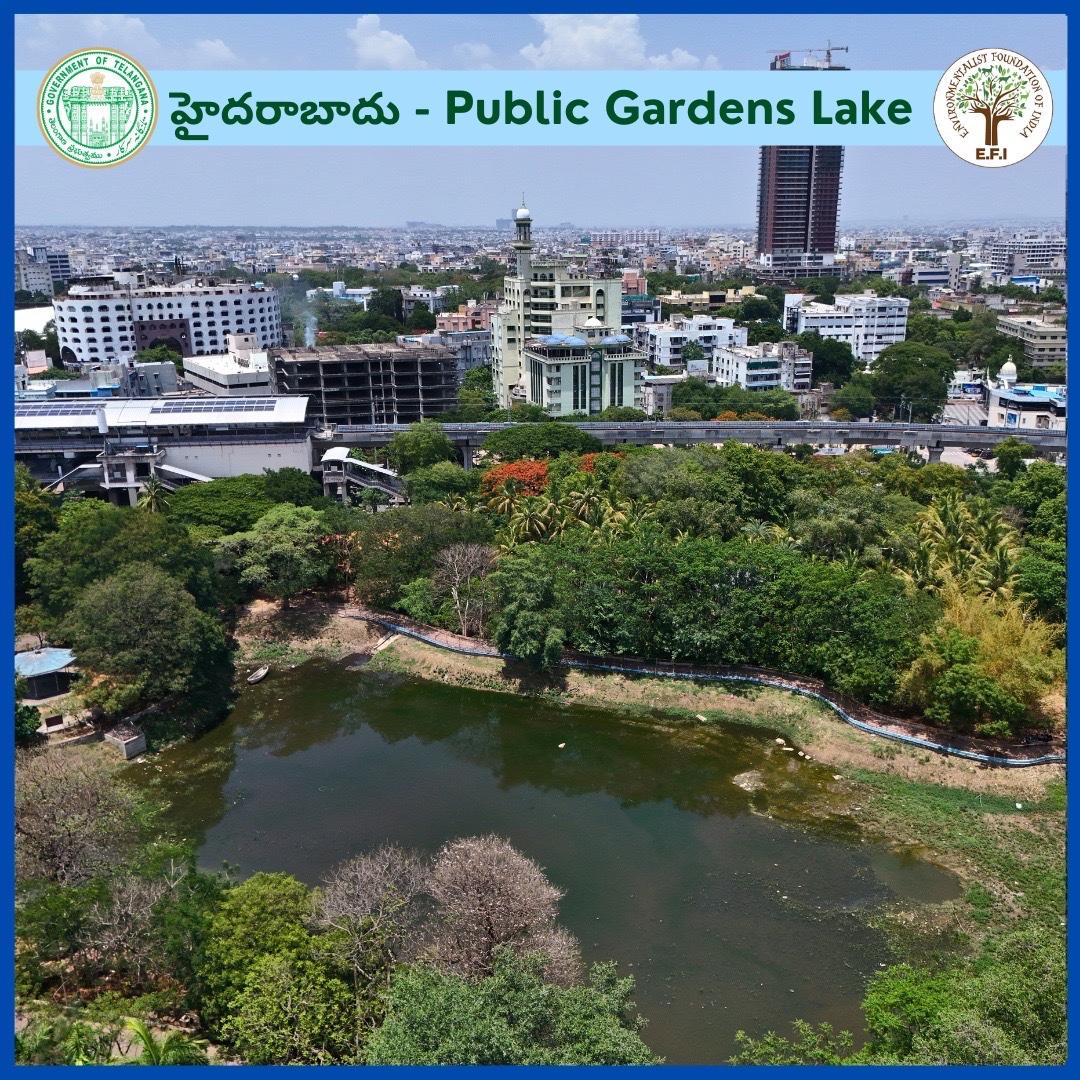 ArunEFI's tweet photo. @EFIVolunteer #BlueGreenHyderabad https://t.co/teMMqbiCfy