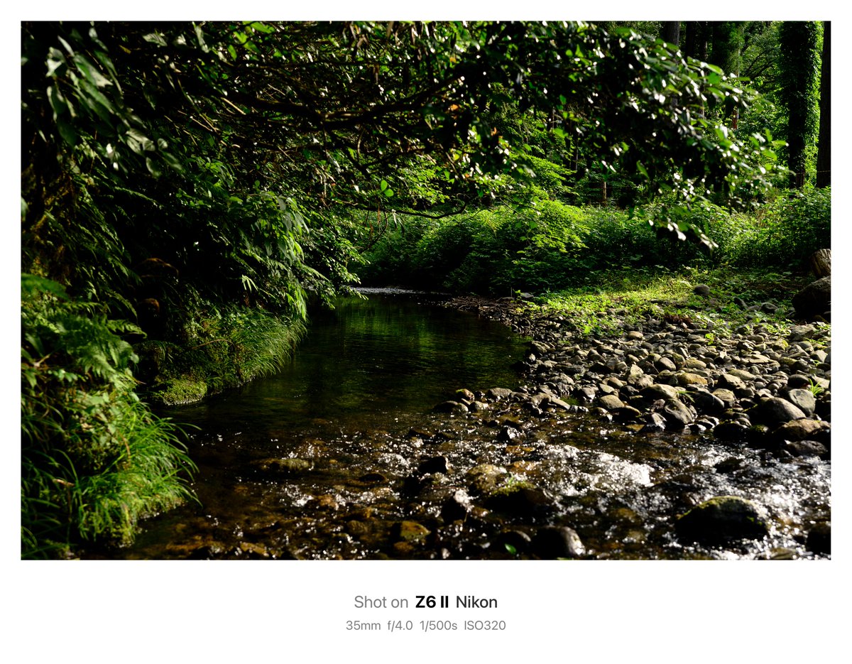 kunsei78's tweet photo. 山散歩。
今回はサラッとただ見たものを何も考えずに📸
#風景写真
#Nikon https://t.co/vQ4bfZ6GQy