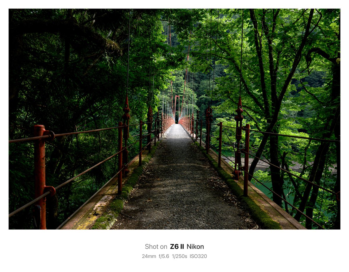 kunsei78's tweet photo. 山散歩。
今回はサラッとただ見たものを何も考えずに📸
#風景写真
#Nikon https://t.co/vQ4bfZ6GQy