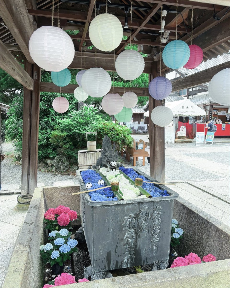 mimi___0087's tweet photo. 夏感じてきた🪄

⛩️ 楊谷寺 (柳谷観音) https://t.co/fNtfGCm1Rm