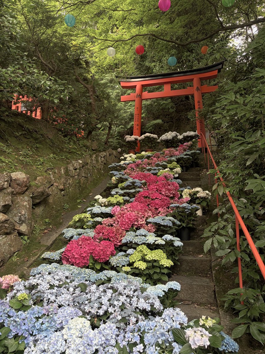 mimi___0087's tweet photo. 夏感じてきた🪄

⛩️ 楊谷寺 (柳谷観音) https://t.co/fNtfGCm1Rm