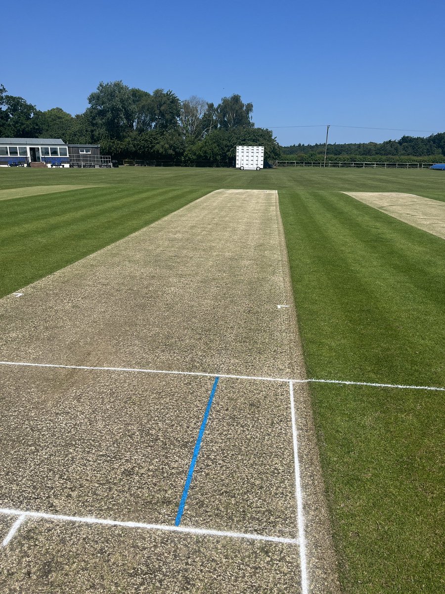 WillyCricket's tweet photo. Win toss and ?? https://t.co/quqBufTyuu