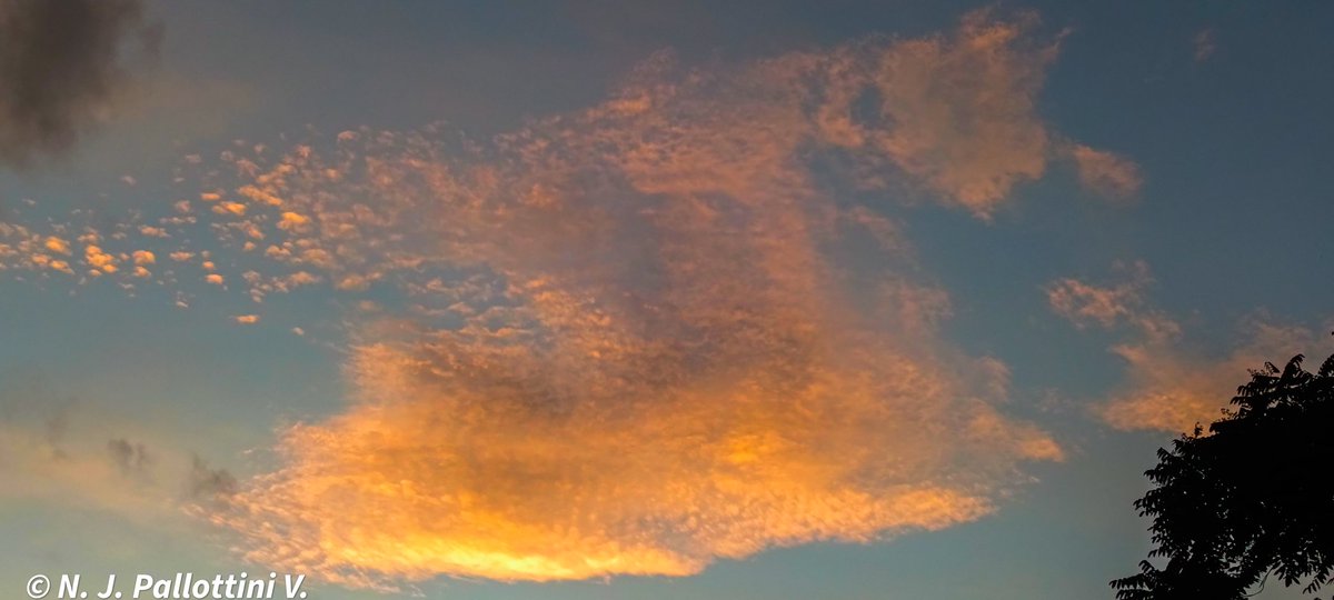 NJPallottiniV's tweet photo. Amanecer del viernes.
San Cristóbal -  Venezuela.

#sunrise #amanecer #postal #nature #picture #capture #sancristobal #tachira #venezuela #sky https://t.co/4v0shTKZSg