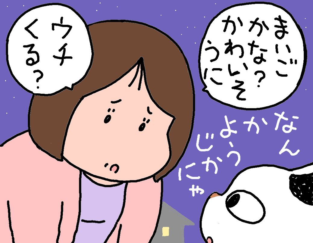 parchintokuro's tweet photo. #神社のタマのつぶやき https://t.co/nneDAQhcsY