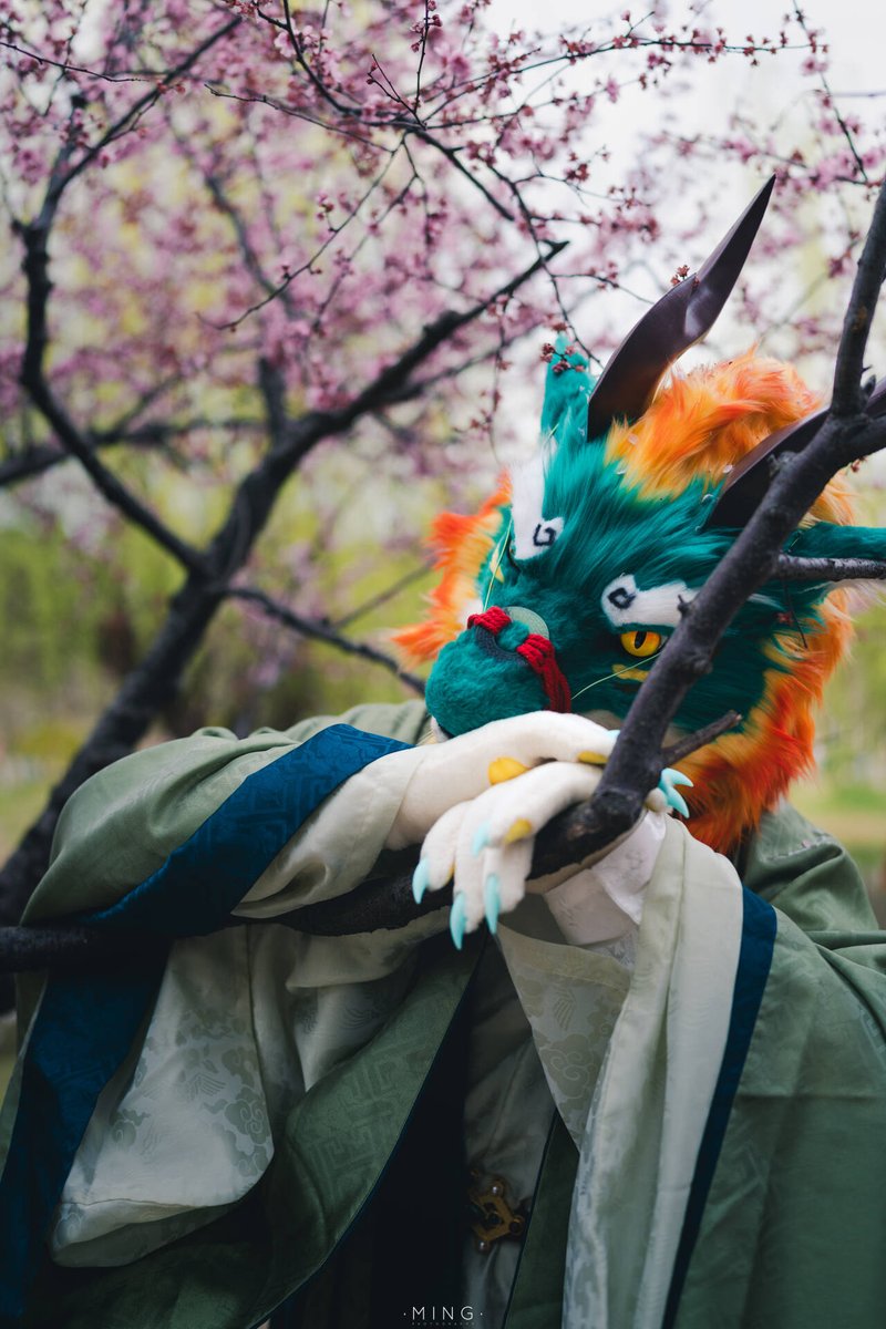 #FursuitFriday #fursuit #fursuiter #furries #FursuitEveryday #越光工坊 桃伴青麟 ...