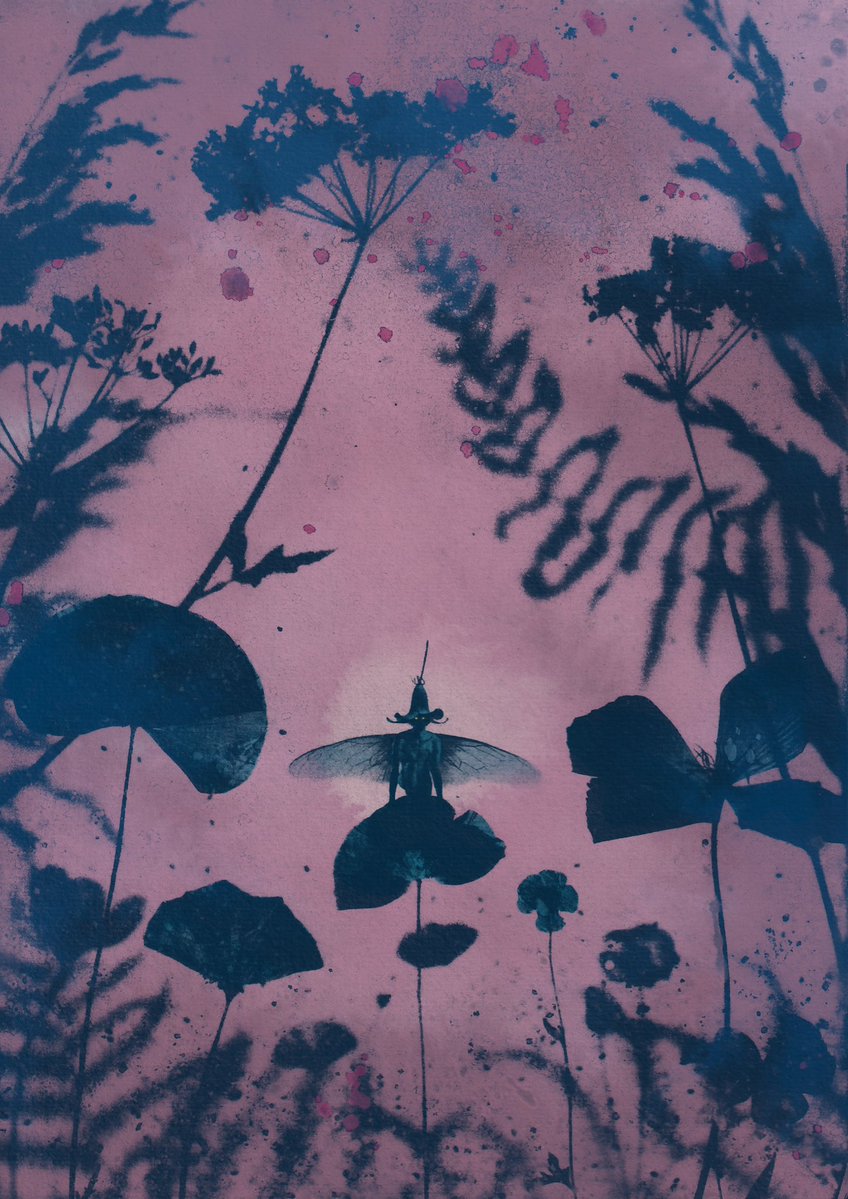 DarryDoodles's tweet photo. Fae Series - inverted #cyanotype #alternativephotography https://t.co/H2cotqxA1Z