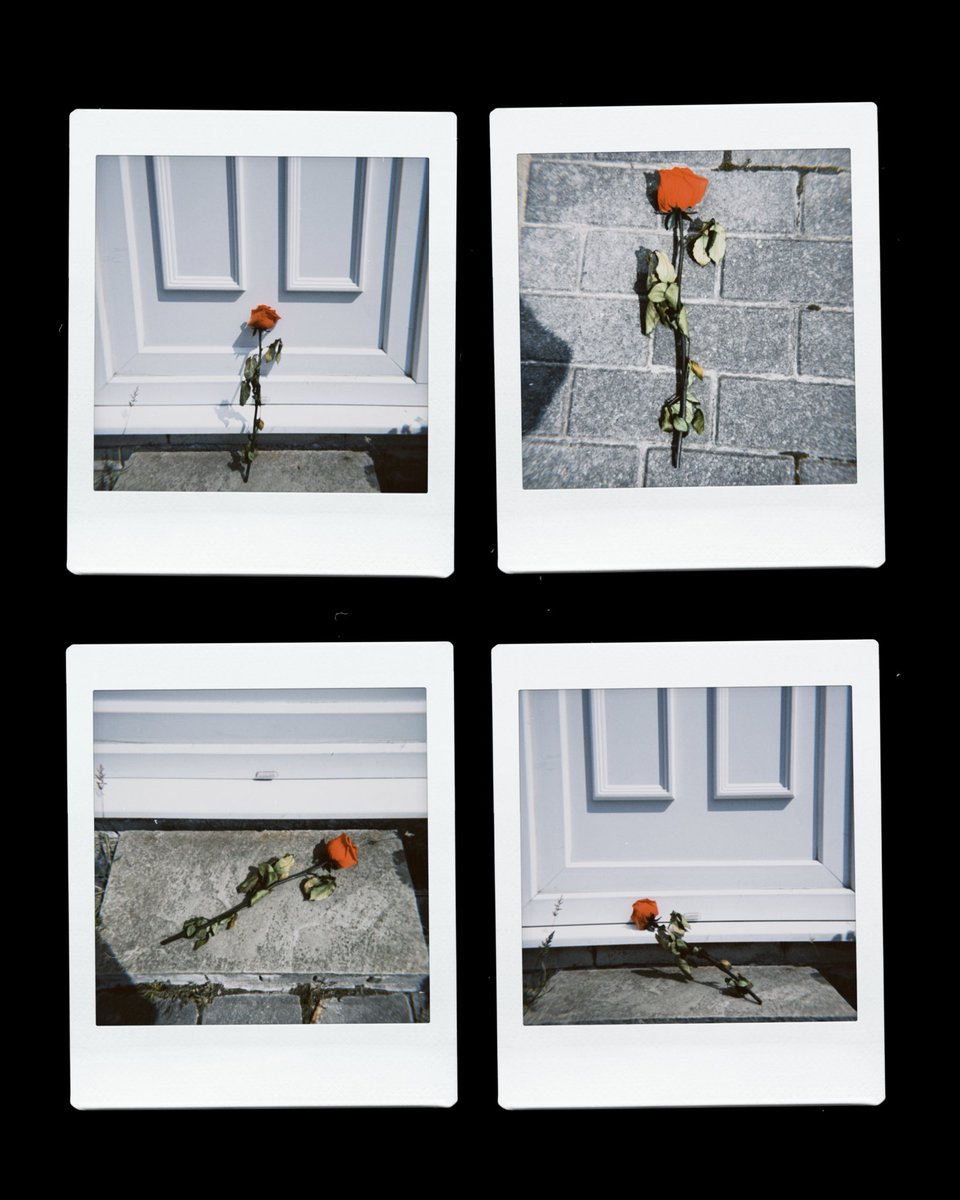 BlocParty's tweet photo. I’m thinking about scaling your fence and leaving a single red rose by your door. https://t.co/Rb04CWmZZG