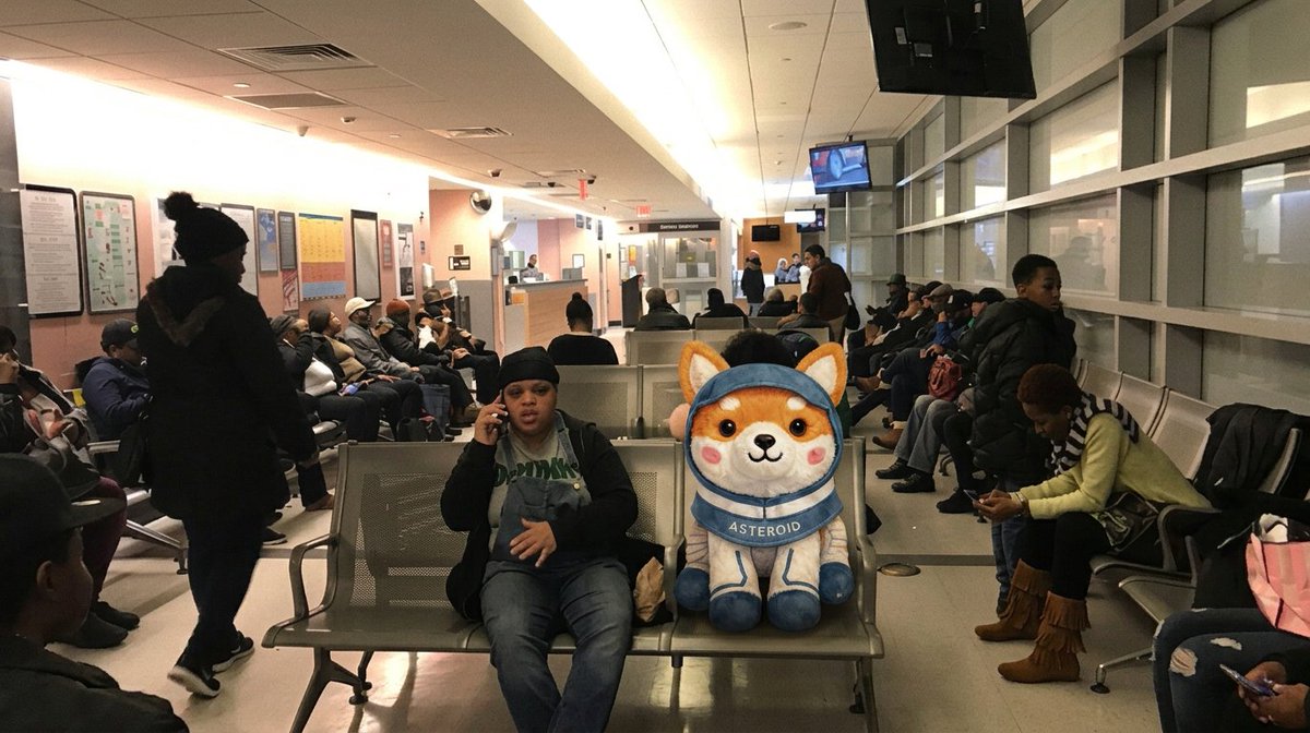 SlumAsteriodMil's tweet photo. POV:

You’re the official mascot, sitting in the waiting room, watching everyone slowly realize the obvious.

Recognition takes time.
OG status doesn’t.

$ASTEROID 0xAFF 🐕‍🚀 https://t.co/SW1OOldHMm