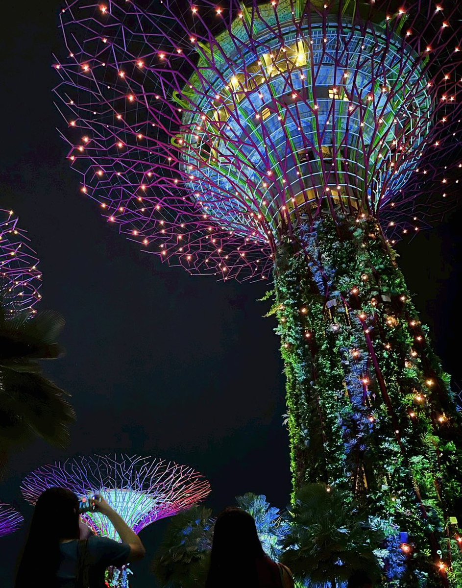 yoppoy3's tweet photo. 🌙* 🦉 𝐍𝐢𝐠𝐡𝐭𝐛𝐢𝐫𝐝𝐒𓂃𓈒𓏸︎︎︎︎💕 https://t.co/cAUfaISl0H