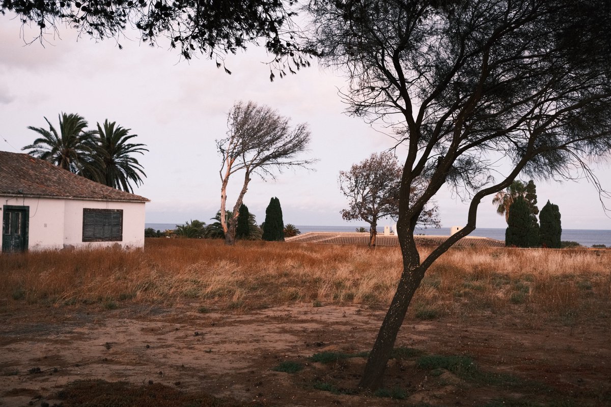 josebrito's tweet photo. Samples from a new Fuji recipe I made around Classic Negative. The goal was to create warm, vibrant tones inspired by summer vacations. I named it "Porto Santo", honoring the place where it was born. Settings in 🧵 https://t.co/z1INfC5Cxl