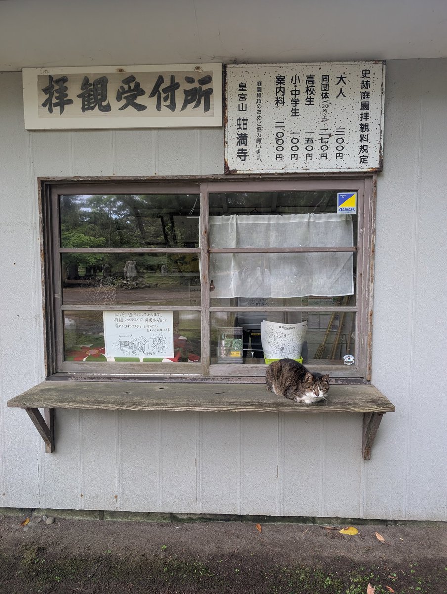 deresuke6's tweet photo. 人ではなく、猫が店番してる
#蚶満寺
#にかほ市 https://t.co/KJzByf2a7M