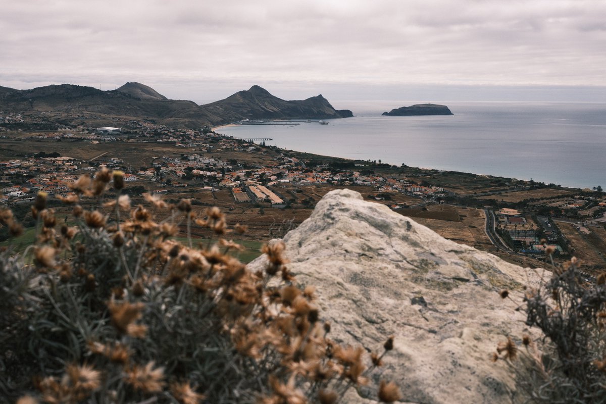 josebrito's tweet photo. Samples from a new Fuji recipe I made around Classic Negative. The goal was to create warm, vibrant tones inspired by summer vacations. I named it "Porto Santo", honoring the place where it was born. Settings in 🧵 https://t.co/z1INfC5Cxl