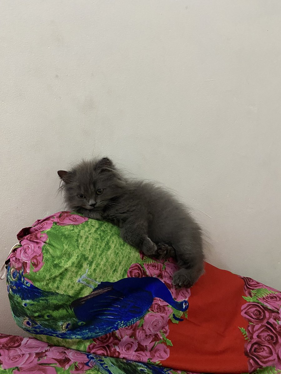 kmlachivepwez's tweet photo. Ngelamun kaya banyak cicilan https://t.co/uOxeCh5hRK