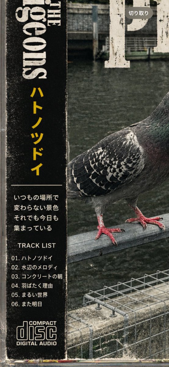 _itsuka_'s tweet photo. ハトさんも写真撮らせてくれたよ📸

なんかバンドっぽかったからチャッピーにCDにしてもらった🤣🤣🤣

めっちゃ有りそうやん🤣🤣🤣

さて、それぞれのパートはなんでしょう！？🎸🥁🎹🎤🎷 https://t.co/7lSrQVyfjq