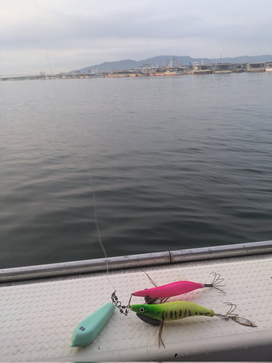tamanegi347's tweet photo. 本日は兵庫県明石までタコ釣りに！
5杯と渋かったけどタコも楽しいなぁ🐙 https://t.co/g03k25xsZu