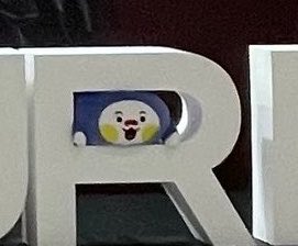 syyrrraaaa's tweet photo. “papa tolong.. kita kejepit papaaaa” 😭 https://t.co/nfG88APwJ1