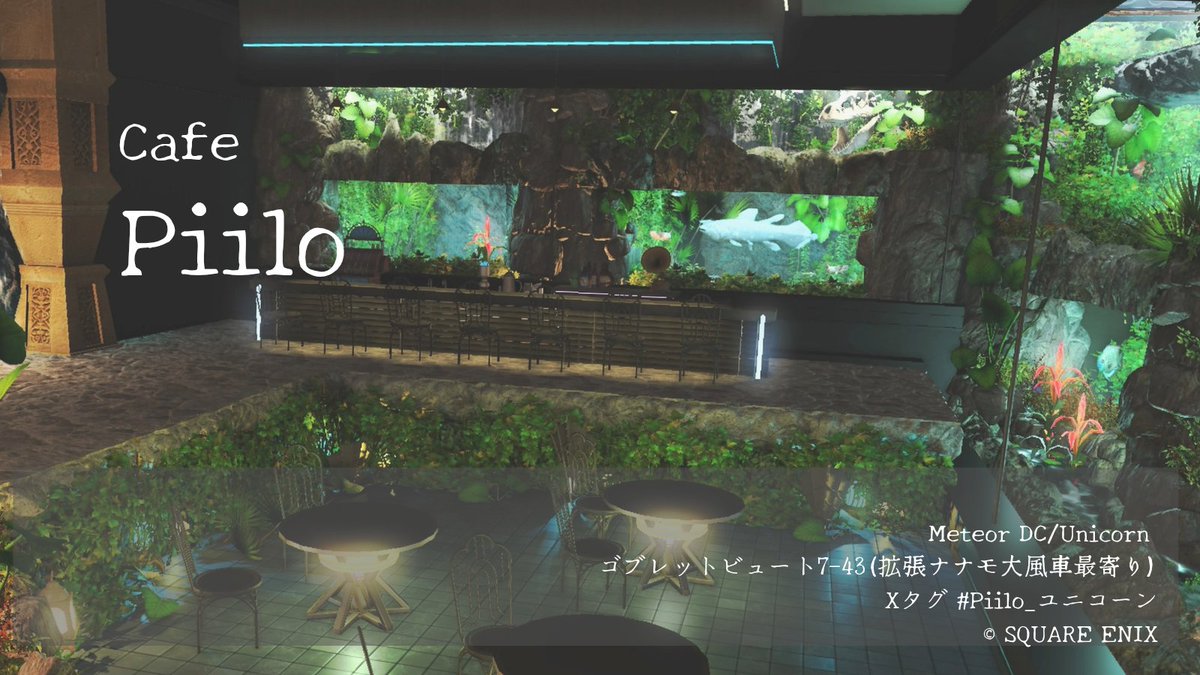 aanyan_ff14's tweet photo. ( 'ω'o[ 予告 ]o
【Cafe Piilo】
6/20(土)Open 🌃21:00-23:00

夏のアクアリウムカフェ°･🐠
のんびりしたい方どうぞ
離席OK 初心者さんも歓迎です
迷子の方は当日PT募集板よりPTへお入りください
 #Piilo_ユニコーン https://t.co/kwKTs0U7vb