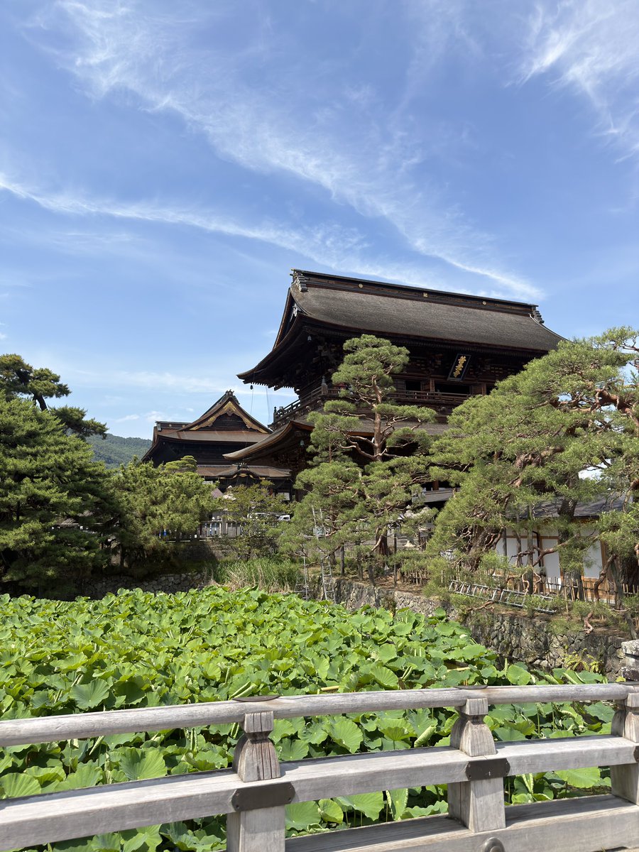 tanasay3's tweet photo. 休みが取れたので善光寺　しかし今日は暑かった https://t.co/9qxQxqHuBP