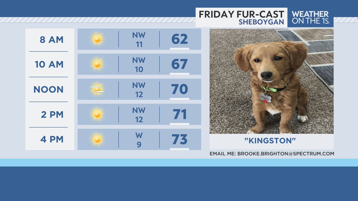 BrookeBrighton's tweet photo. Our @SpectrumNews1WI #Furcast friend this Friday is "Kingston" from Sheboygan (thanks to Zach Cotter for sharing). If you have any pictures of your pet, feel free to share it with me (make sure to include name & location) for your chance to be featured on-air. πΆπ±ππ°π¦ #pets https://t.co/OjdwCylBtO