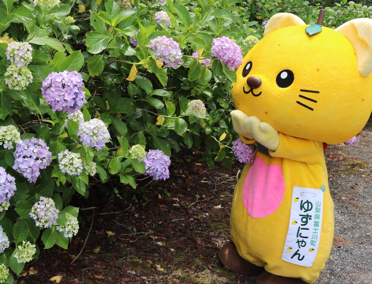 こんばんにゃ♡ 今週もおつかれさまでしたにゃ💛 湿気多しでちょっと