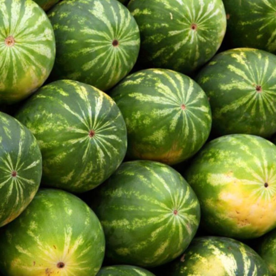 TheExiledMedic's tweet photo. JEDER Deutsche kauft im Sommer dieses Obst. 

Aber die meisten greifen blind ins Regal:

Die Wassermelone 🍉 
Hier sind 4 Anzeichen, an denen du die perfekte erkennst:

1. Großer gelber Sonnenfleck = die Melone lag oben, hat viel Sonne abbekommen
2. Je hässlicher, desto besser (Risse, Narben, Unebenheiten) = ausgereift
3. Hohl-dumpfer Klang beim Anklopfen
4. Möglichst große Erdstelle auf der Unterseite

Kleiner Tipp: Hast du die perfekte gefunden?

Dann mach daraus den besten natürlichen Elektrolyt-Drink, den es gibt:
→ Wassermelone in den Mixer
→ Saft einer Limette dazu
→ Eine Prise echtes Meersalz

Natürliche Elektrolyte. Kalium, Magnesium, Natrium - alles drin.
Andere Marken verkaufen künstliche "Sportgetränke" mit Natriumcyclamat, Zucker, Künstlichen Farbstoffen wie E133 und geben das auch noch ihren Kindern....

Ich weiß, was ich meinen Kindern in die Trinkflasche packe.

Und ich weiß, was ich definitiv NICHT reinpacke.

♻️ Teile es in deinem Netzwerk, wenn du der gleichen Meinung bist.