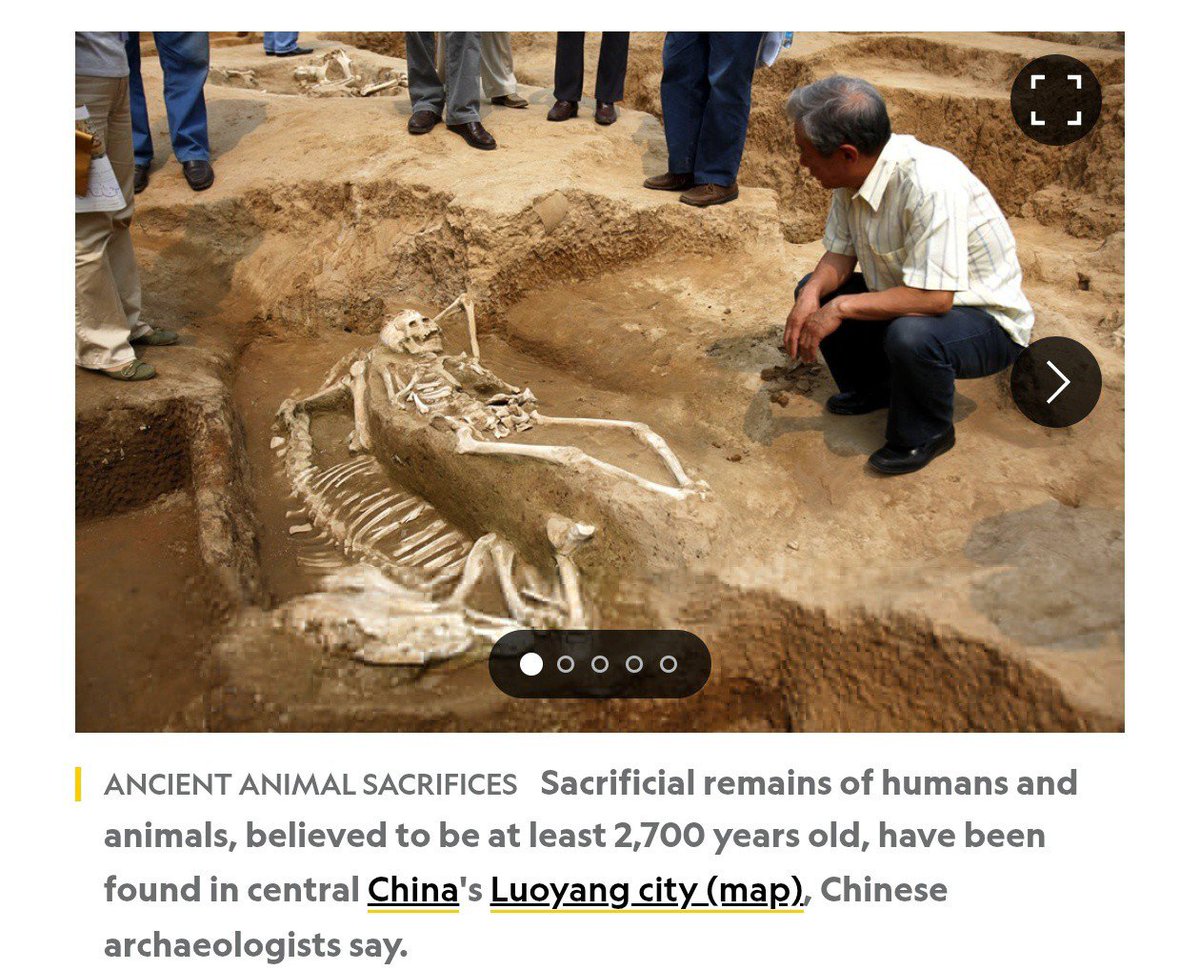 SagasofBharat's tweet photo. This ching chong doesn't know, their own archeologists have given evidence of widow sacrifice.

Official annals of the house of Ming states human sacrifice of concubines of Ying Tsung.

There are enough Chinese sources-officail documents to prove u are the one lying. https://t.co/gISCvw9TrY