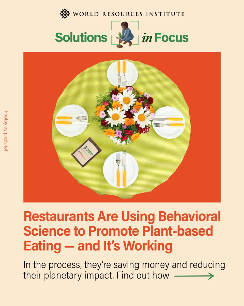 WorldResources's tweet photo. 🥗Vegetarian and vegan diets are still a hard sell. Fortunately, the science on how to change this is getting clearer.
Here, we examine how a few leading food providers are boosting uptake of plant-based options➡️ https://t.co/oWMARkROVJ #SolutionsInFocus https://t.co/jBl9BoFuP4