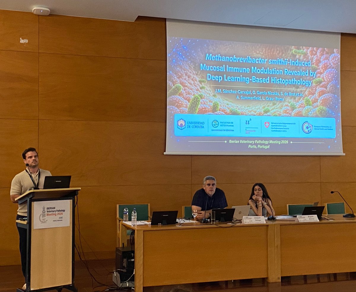 uco_pig's tweet photo. Another highlight of the Iberian Veterinary Pathology Meeting 2026 was the oral presentation by José María Sánchez-Carvajal on mucosal immune modulation in early-weaned piglets induced by Methanobrevibacter smithii🐷🧫 An excellent contribution!!👏
#SEAPV #Pathology #Porcine https://t.co/QGGqfqLJWG