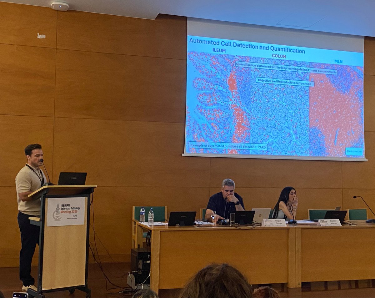 uco_pig's tweet photo. Another highlight of the Iberian Veterinary Pathology Meeting 2026 was the oral presentation by José María Sánchez-Carvajal on mucosal immune modulation in early-weaned piglets induced by Methanobrevibacter smithii🐷🧫 An excellent contribution!!👏
#SEAPV #Pathology #Porcine https://t.co/QGGqfqLJWG