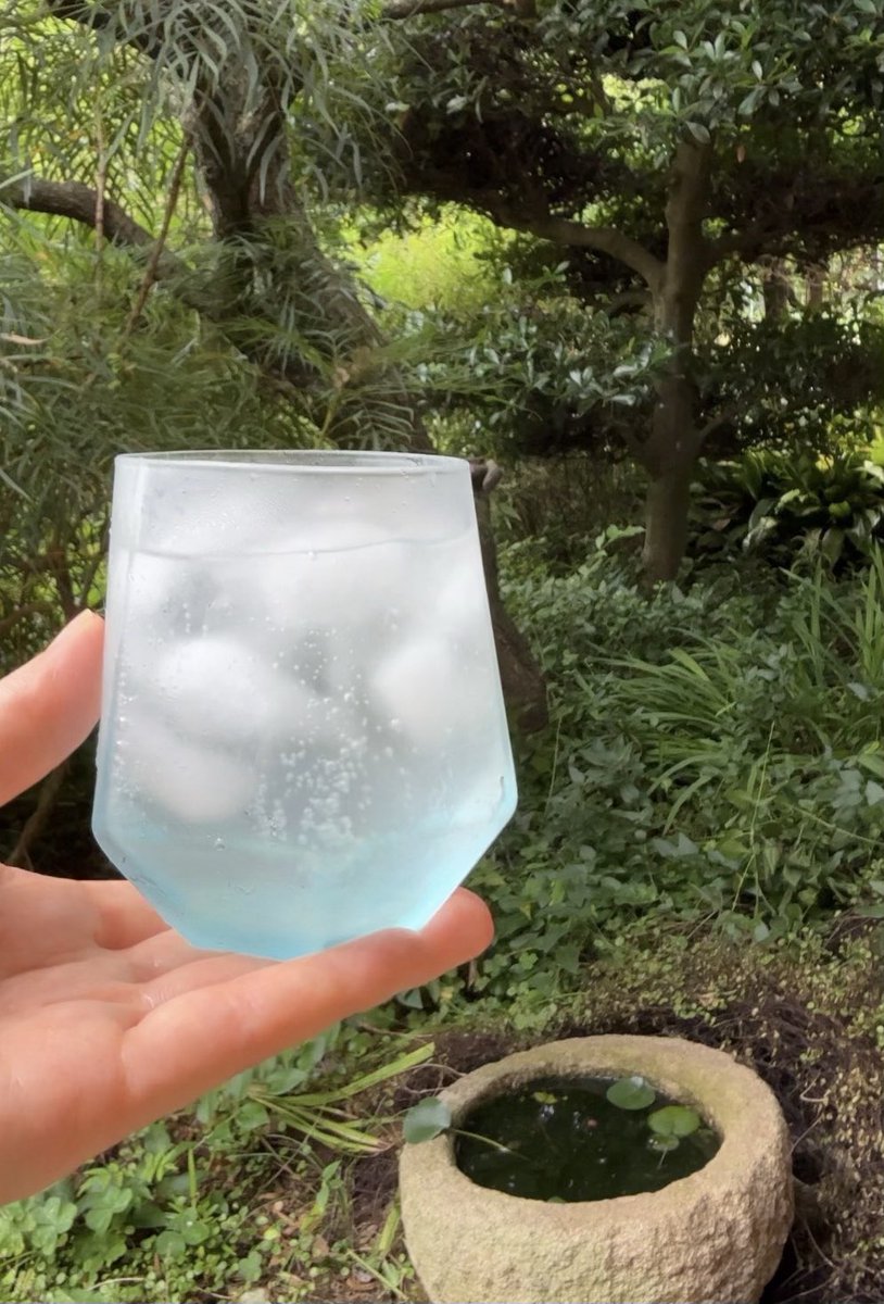 colubram's tweet photo. 今年は梅の収穫早めでした〜
梅シロップのソーダ割り🥤
#里山の恵み https://t.co/5uOKVkJpBc
