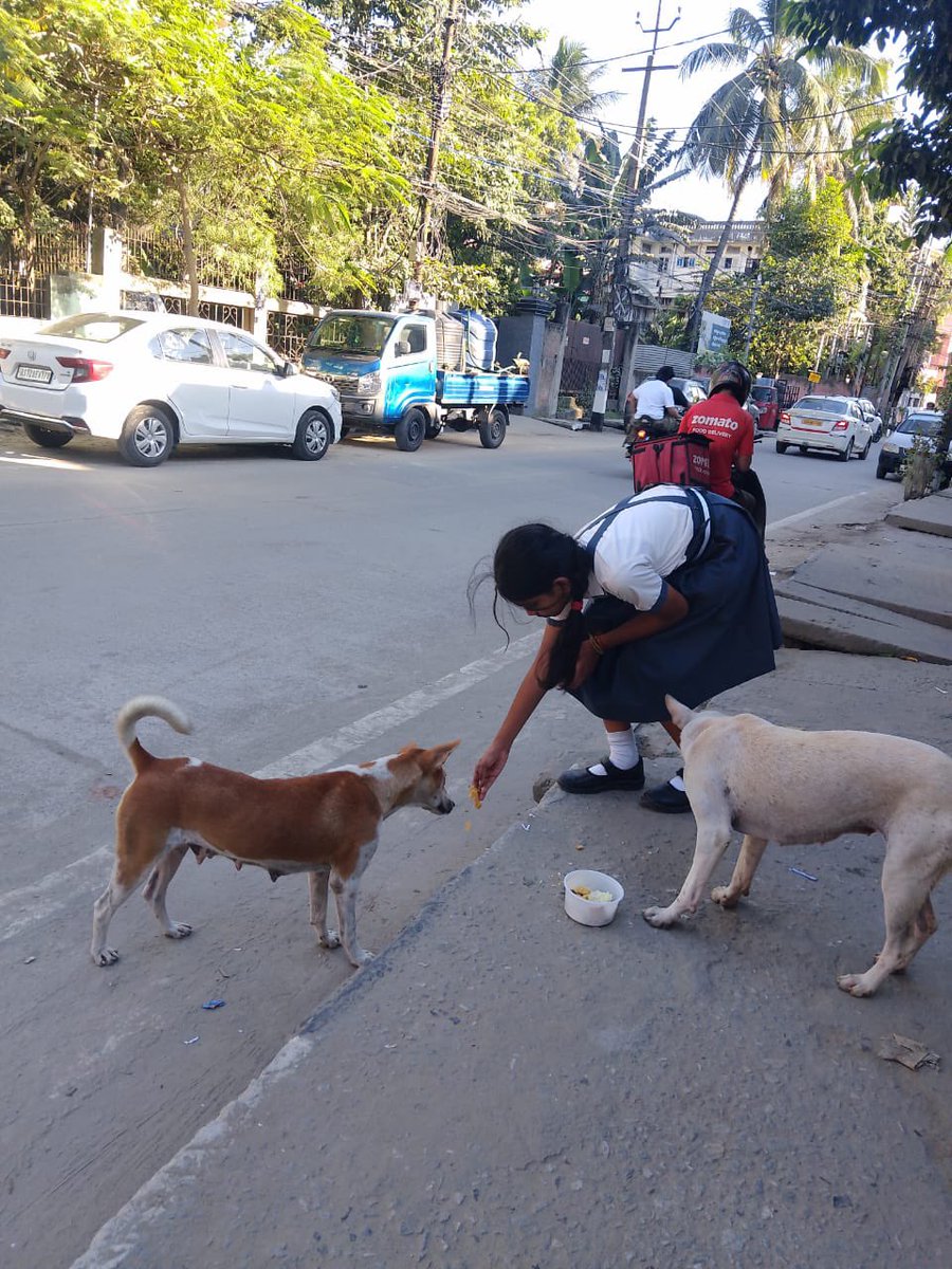 aditi_bakshi_'s tweet photo. At Shiksha Niketan, Guwahati, students are graded not just on academics but also on kindness towards animals. As dogs face growing cruelty across India, this school is teaching compassion, coexistence, and respect for all living beings.

#StopAnimalCruelty #SaveIndianDogs https://t.co/q5ZCaH6znp