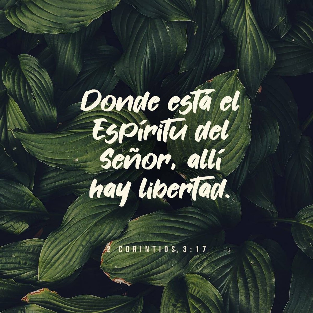 Manuel Benítez tweet media