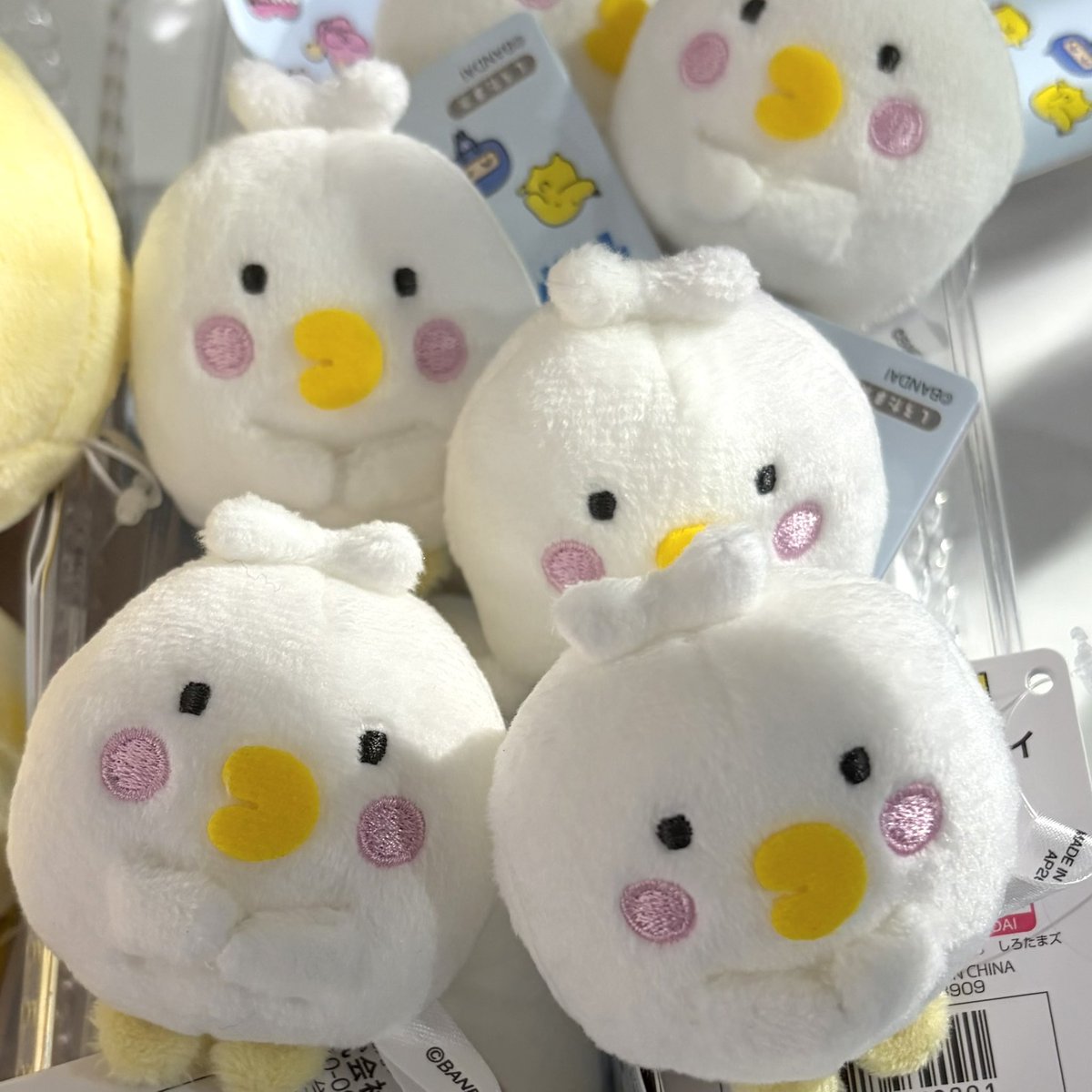 ppco_tmg's tweet photo. web予約してるから我慢したけど、みんな連れて帰りたくなった‼️ https://t.co/Gwb29PdzEK