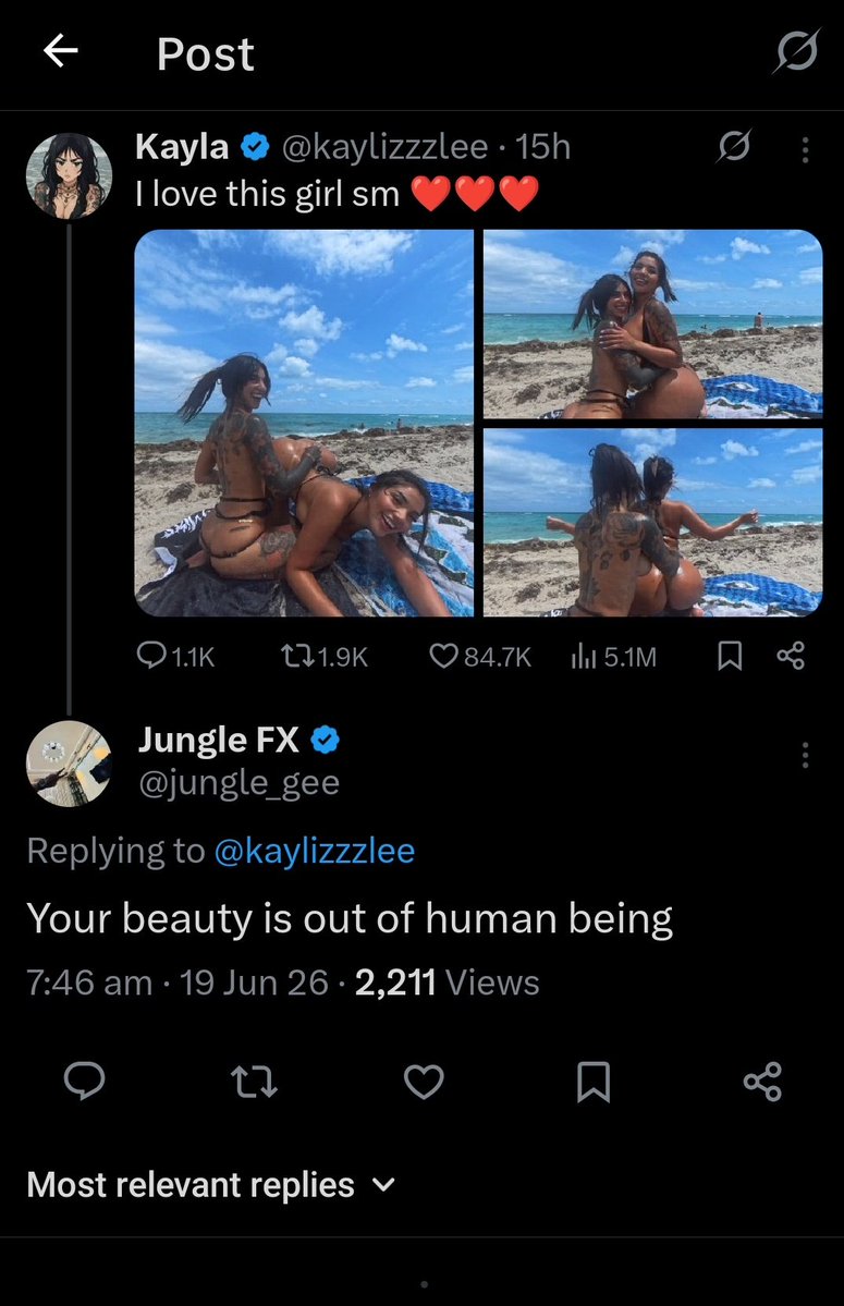 SAM tweet media