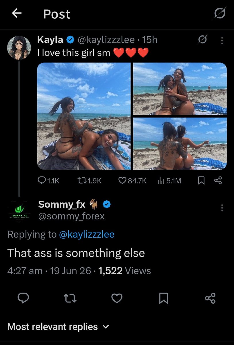 SAM tweet media