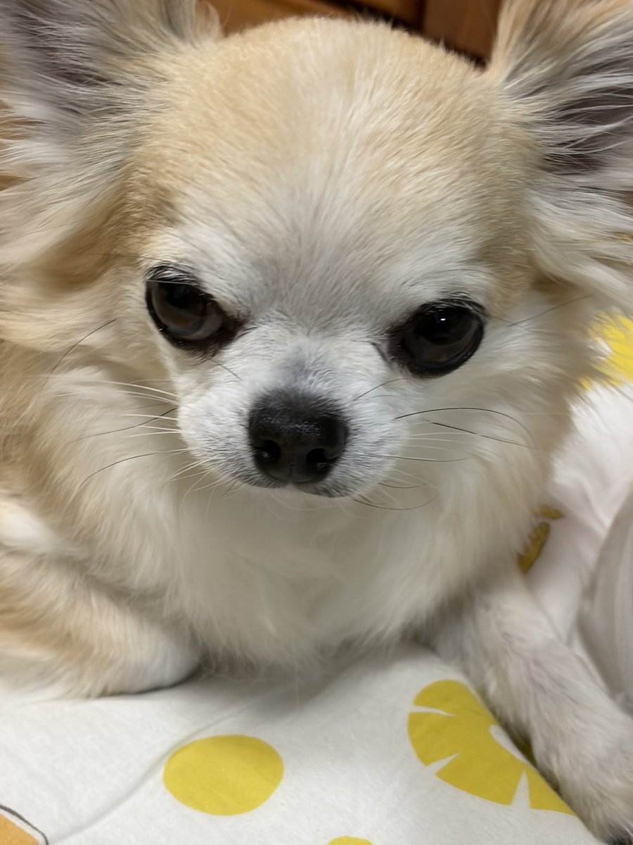DOUBLE_PATTER's tweet photo. 金曜日のロード置いておきます https://t.co/2fy1G3gXYy