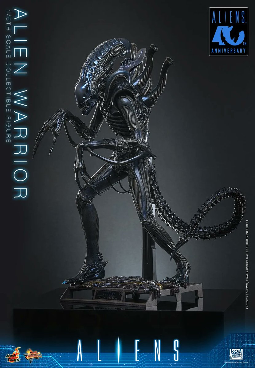 約30cm 人間型置物 マットブラック