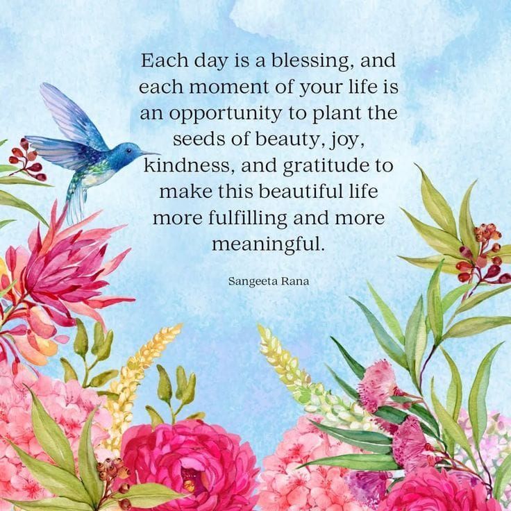 LilyTranRealtor's tweet photo. 🌺 Good Morning &amp; Happy ALOOOOHA Friday, Everyone! 🌸✨ As we welcome the weekend, remember this: you are stronger than you think, more capable than you know, and deserving of every blessing that comes your way. 🙂🙏🌈☀️🌻🌅💕 https://t.co/bDWu8o0KNg
