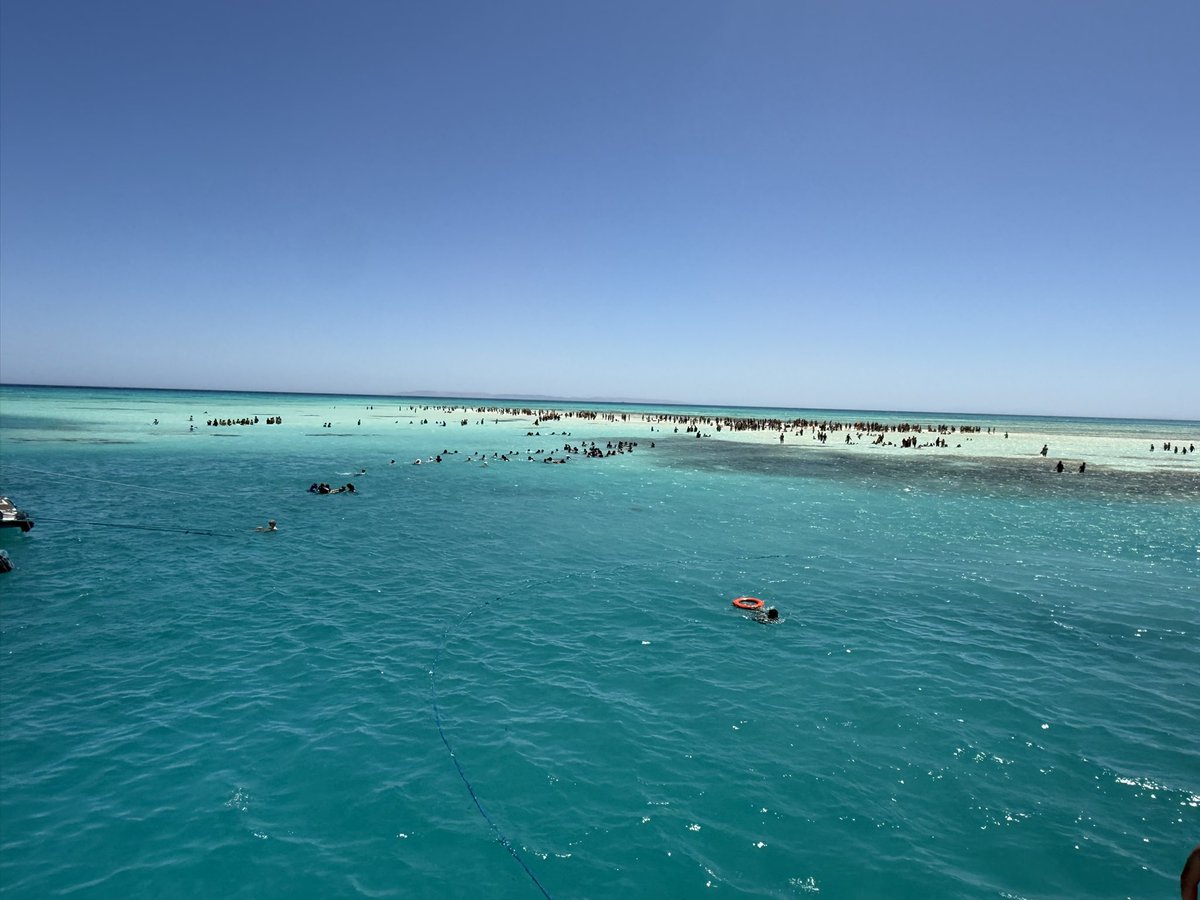 daliaadel2000's tweet photo. The White Island Sharm el-Sheikh https://t.co/QLjNjBwiIA
