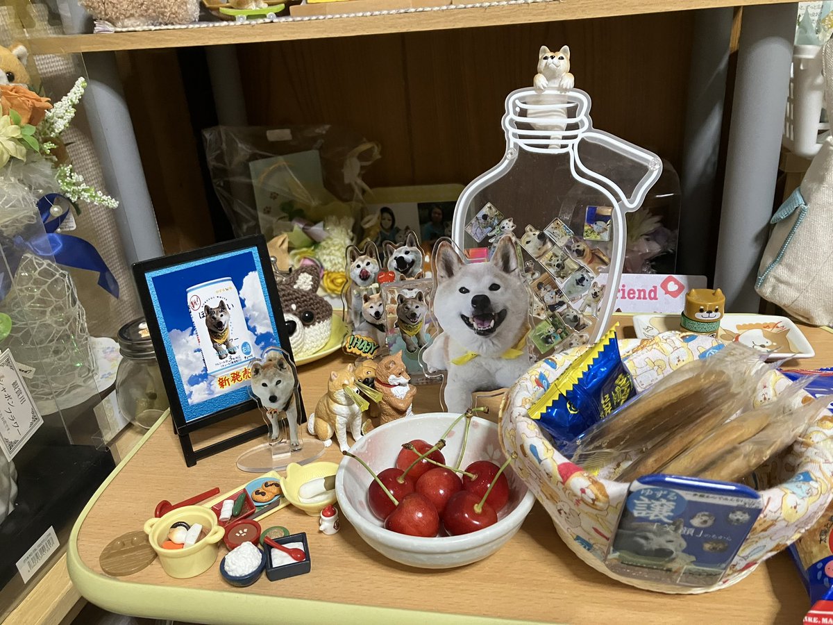 ゆずしばママ tweet media