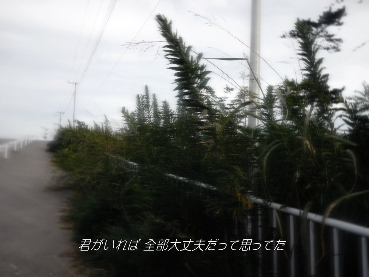 sayu__white's tweet photo. https://t.co/w3n89ogvhc