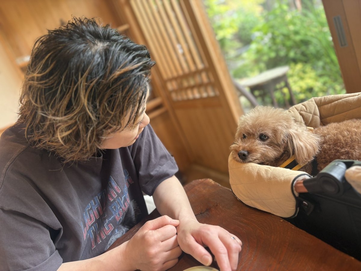 miwa_dj's tweet photo. 📍ふる伊音
奈良県橿原市今井町

ワンちゃんと同伴可なお蕎麦屋さん
江戸時代からの町屋で
お庭も静かで気持ちよかった🍀
大阪から車で１時間で
ちょっと旅行気分になれたよ✨ https://t.co/9tubUkyoGm