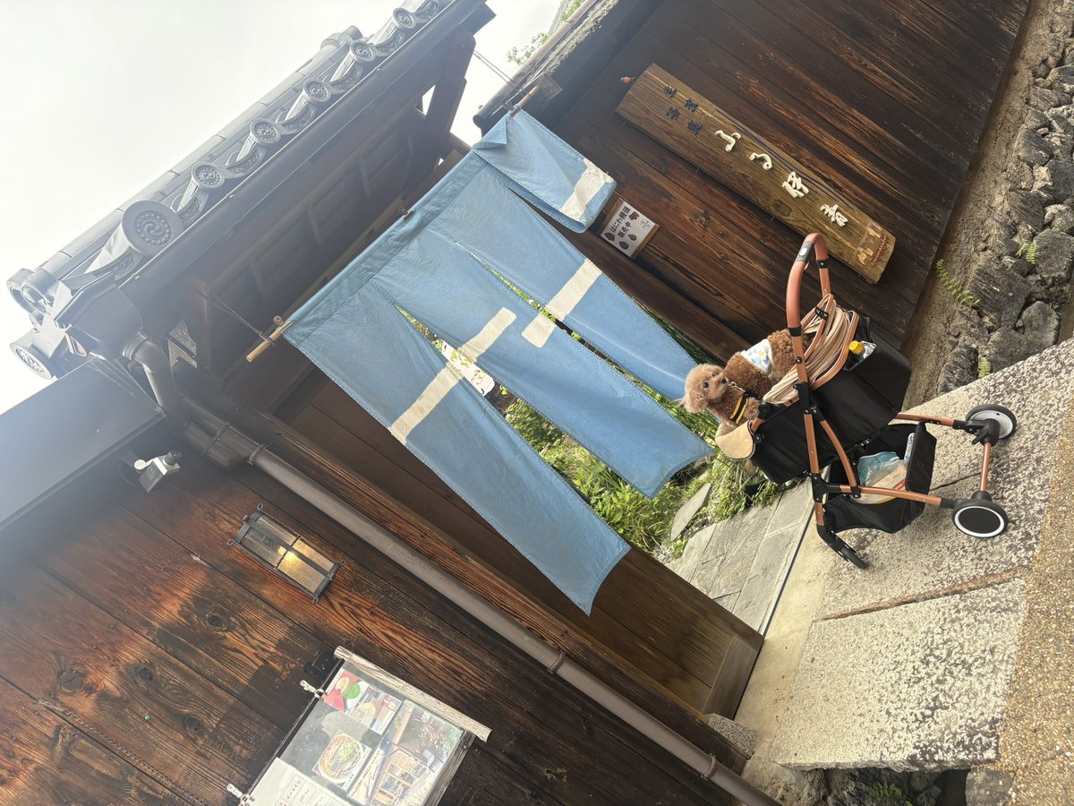 miwa_dj's tweet photo. 📍ふる伊音
奈良県橿原市今井町

ワンちゃんと同伴可なお蕎麦屋さん
江戸時代からの町屋で
お庭も静かで気持ちよかった🍀
大阪から車で１時間で
ちょっと旅行気分になれたよ✨ https://t.co/9tubUkyoGm