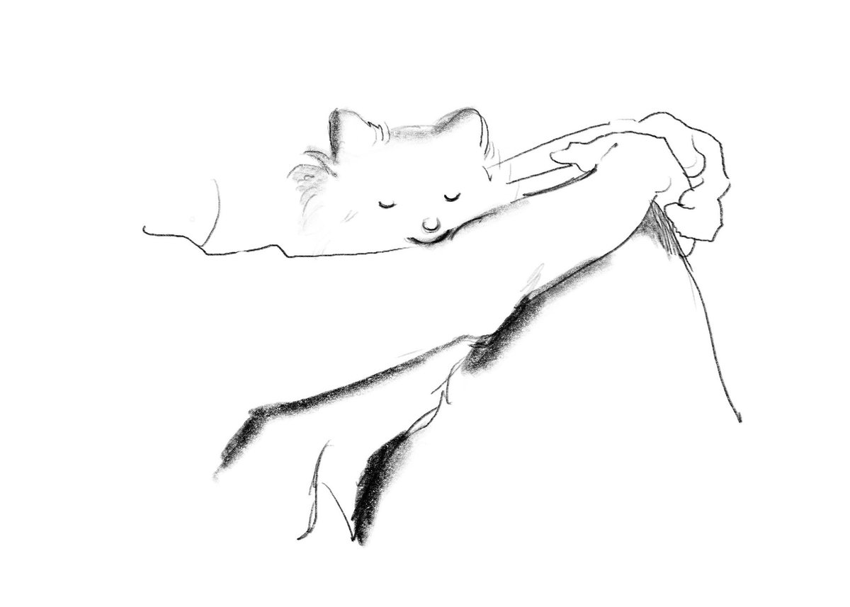akarimataki's tweet photo. sleeping https://t.co/LFF2AoKTIT