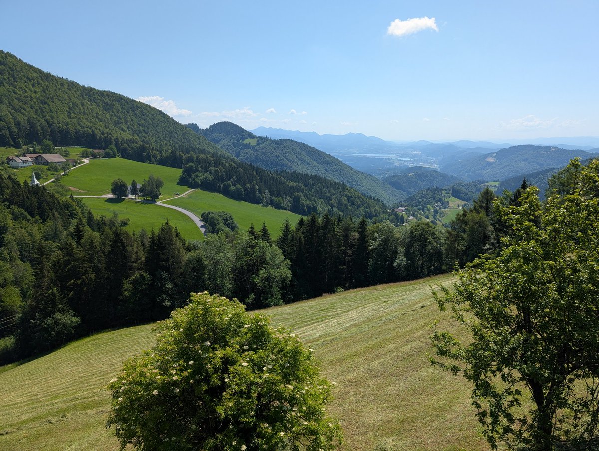 GeorgeBrko's tweet photo. #BeleVode https://t.co/BRU78NRdPP