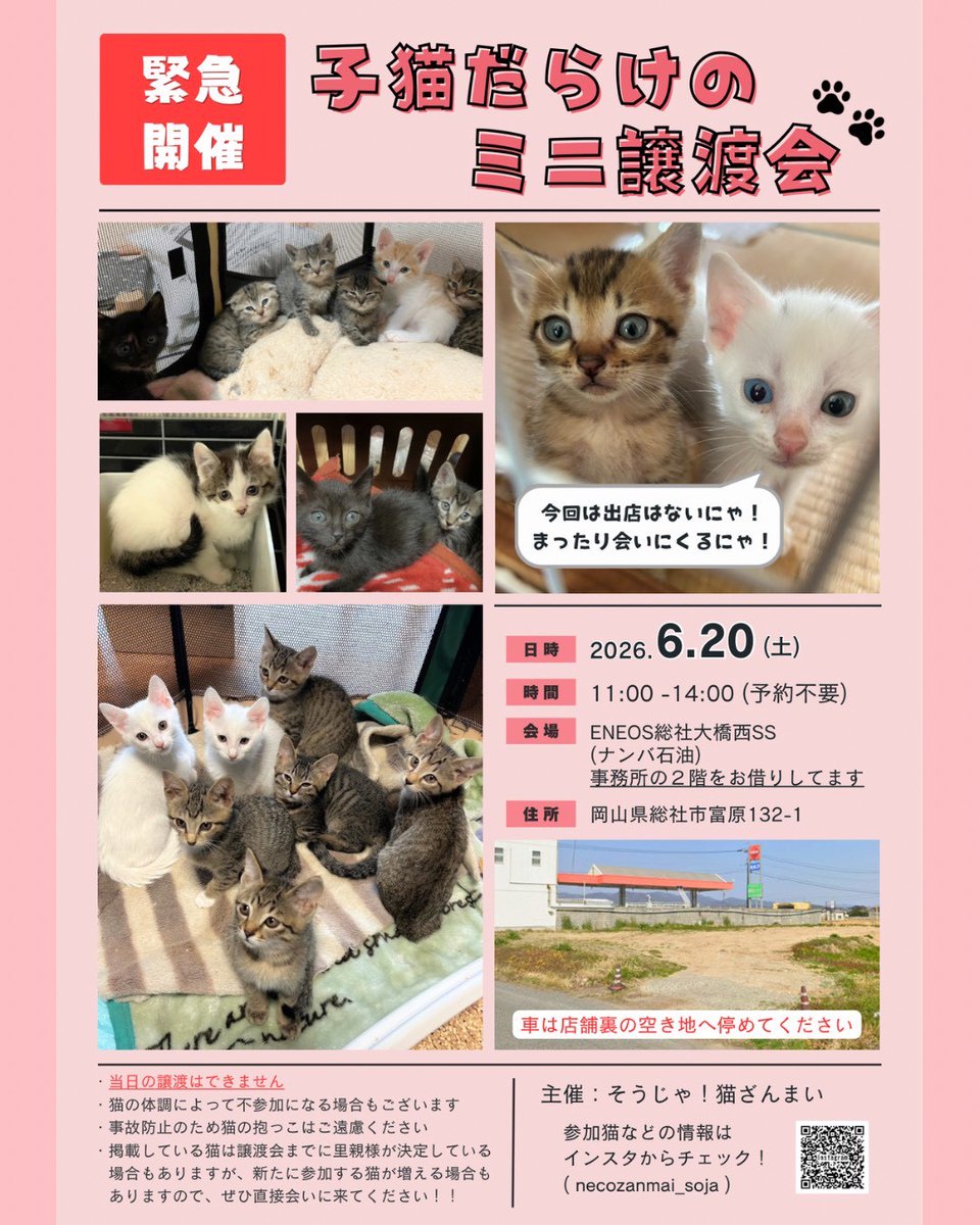 souichikataoka's tweet photo. 子猫ちゃんを保護しました。明日は譲渡会します。この子たちが優しい飼い主さんに出会えますように。殺処分ゼロの街を作りましょう。 https://t.co/PcfU2FL9YY
