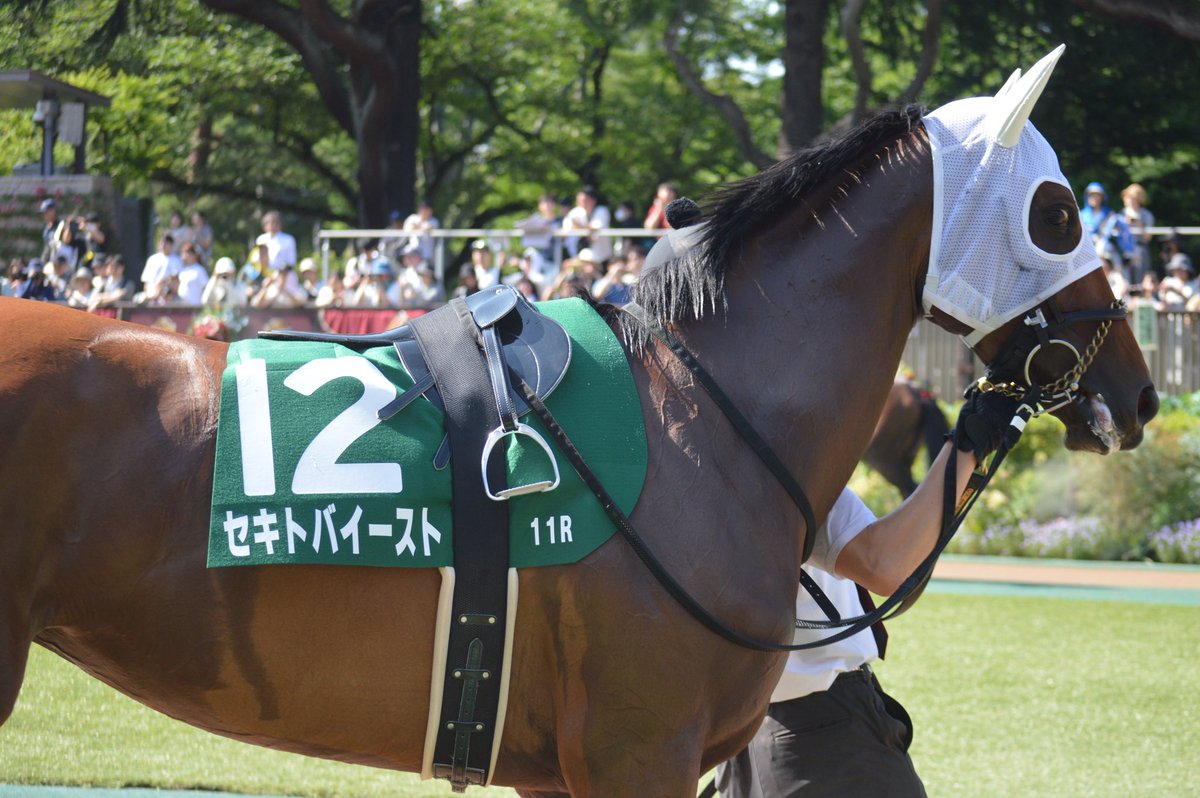 abeeTea_ketchup's tweet photo. あああああああああああ
去年の府中牝馬Sのセキトバイーストをもうみてくださいよろしくお願いします https://t.co/1rACw1gC8W