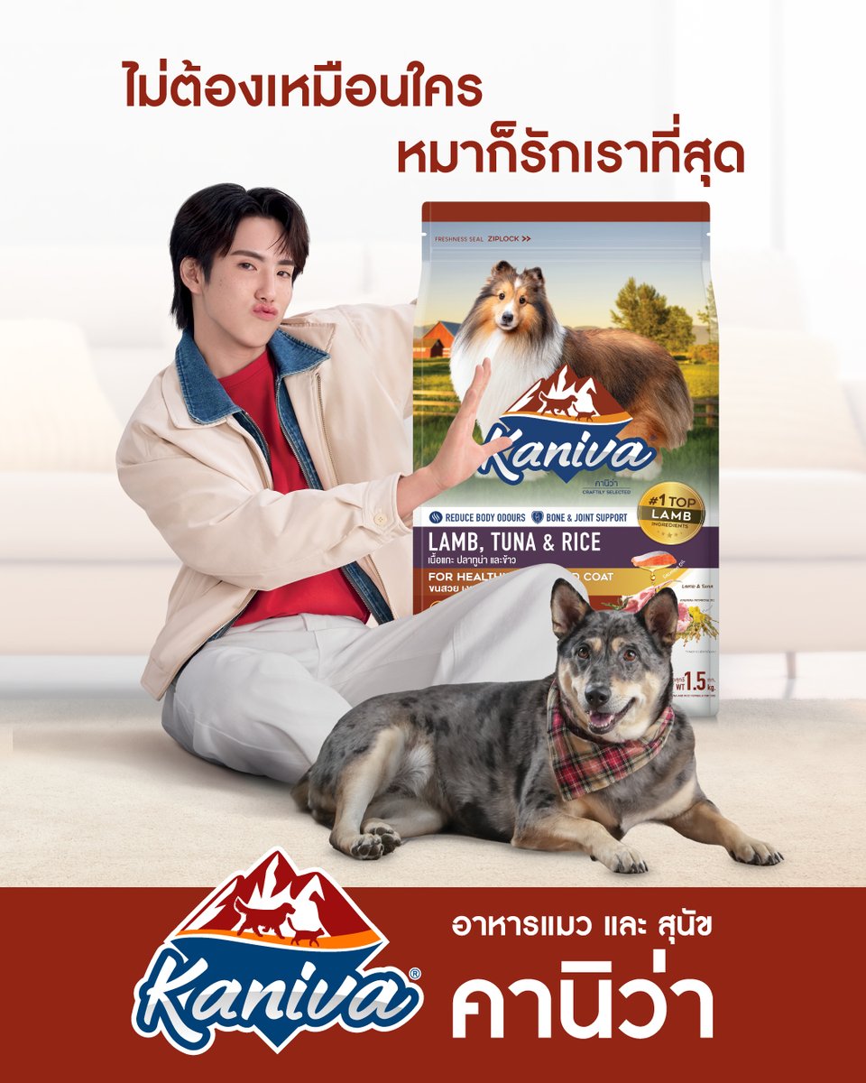 KanivaOfficial's tweet photo. • PHUTATCHAI •

ต่อให้ดูดีแค่ไหน… ก็สู้ความอร่อย
ของอาหารสุนัขคานิว่า สูตรแกะ ไม่ได้หรอก!
 
 อร่อยลงตัวกับเนื้อแกะเน้น ๆ
 โปรตีนแน่นเสริมกล้ามเนื้อ 🐶 
 ชาร์จพลังให้พร้อมป่วนคุณได้ทั้งวัน ☀️🌙

เพราะความดูดีในแบบของคุณ
ทำให้เค้าอยากอยู่กับคุณไปนาน ๆ

#Kaniva #คานิว่า #ถูกใจคนรู้ใจแมว #คนว่าใช่หมาก็ชอบ #KANIVAxBUS #KanivaNoPetBeautyStandard
