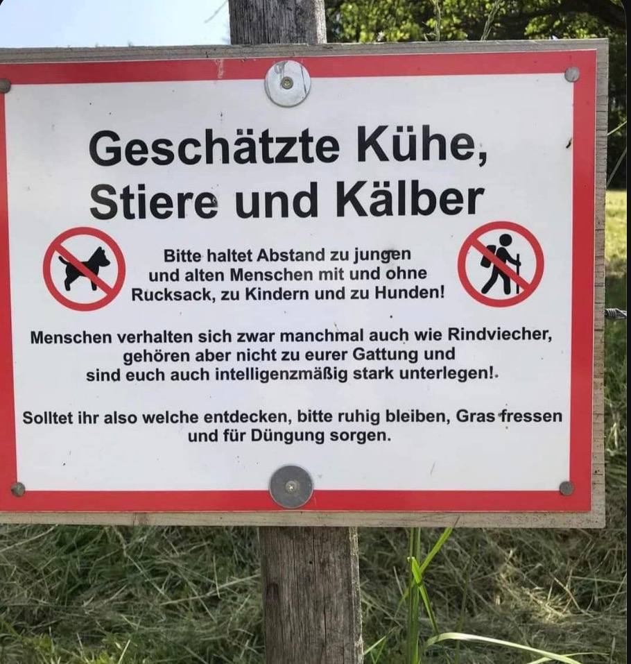 ElkeCunow's tweet photo. Sehr gut geschrieben 😂👋🏼 https://t.co/ky91gmV4hz